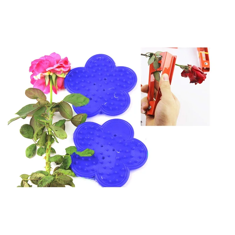 ibspot-3236034