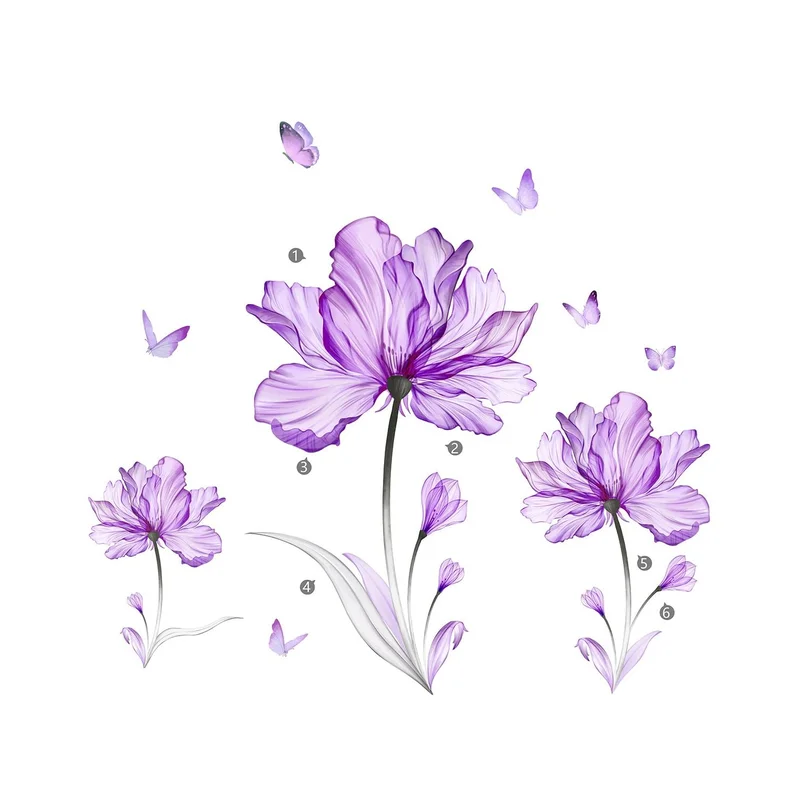 ibspot-34202385
