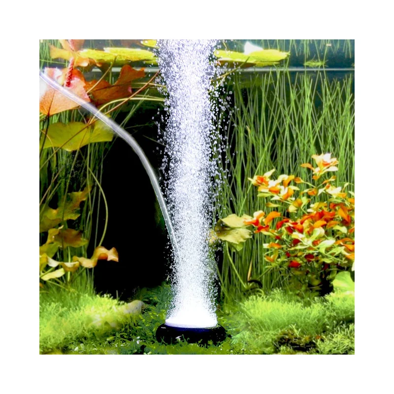 ibspot-35057940