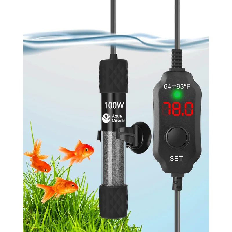 ibspot-35084620