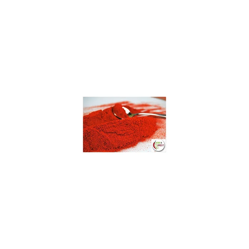 ibspot-46100553