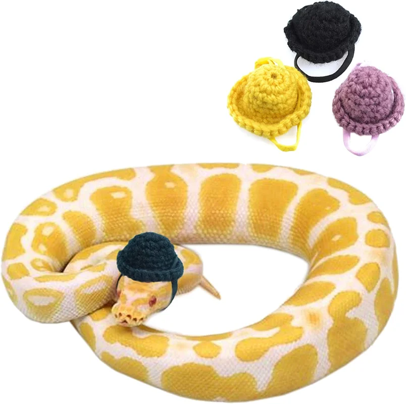 zeebooth-14446735