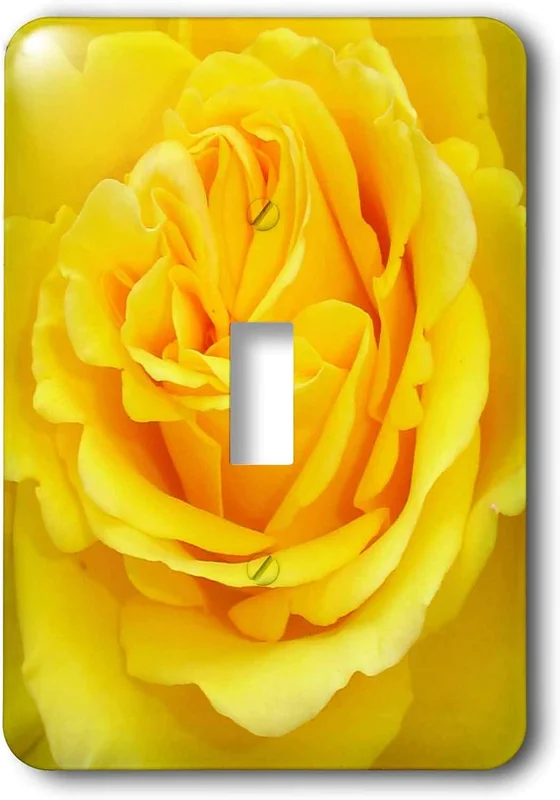 zeebooth-34162345