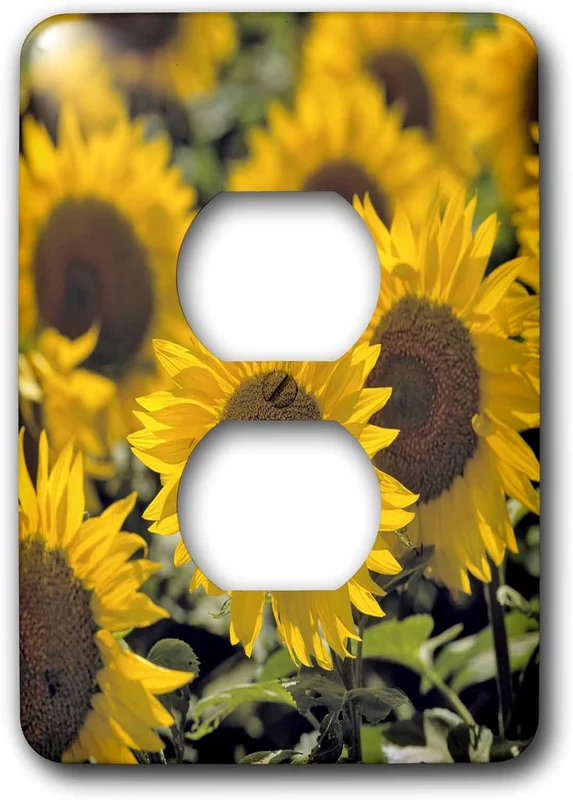 zeebooth-34164044