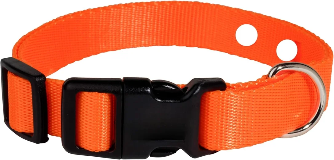 zeebooth-44597311