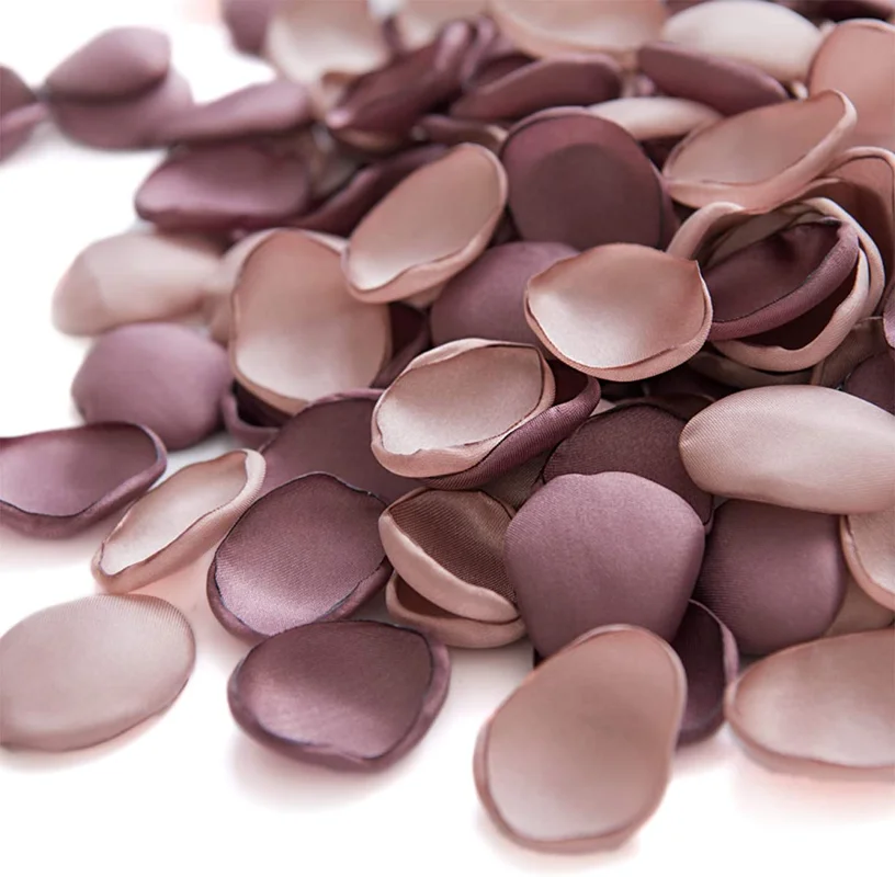 zeebooth4277150
